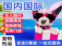阿尔山伊尔施机场空运国际宠物托运 【国